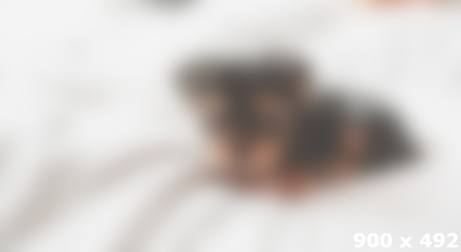 Connecting Pet Lovers