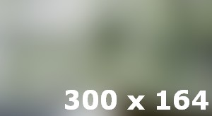 All Circuit Solutions at One Place