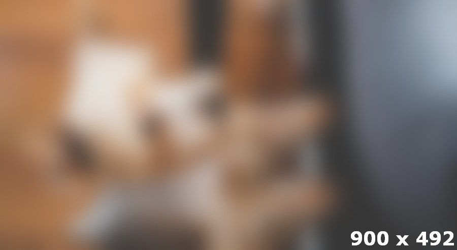 Wildlife Capturing Times