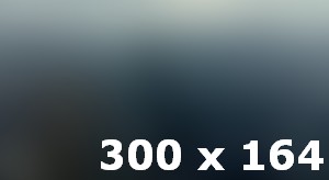 Commercial Property Services