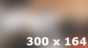 Social Media Management